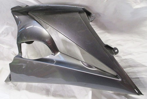 Kawasaki z1000 verkleidung - sx,