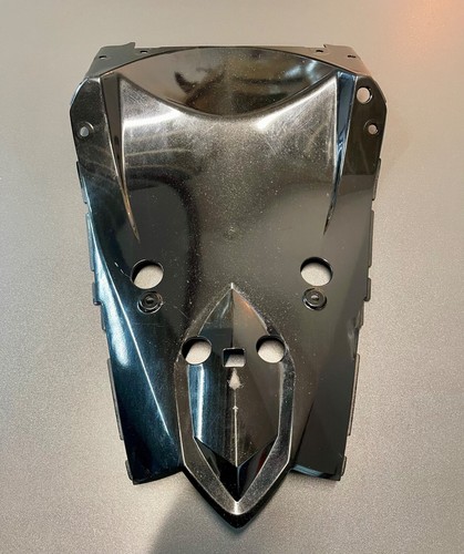 Kawasaki 1000 07 - kawasaki,